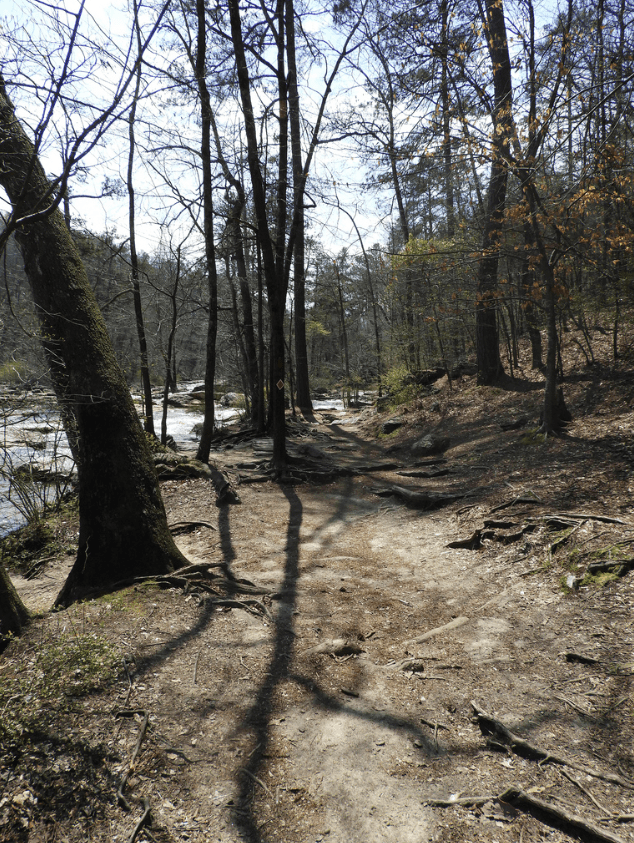 Screen Shot 2018-04-23 at 5.33.13 PM